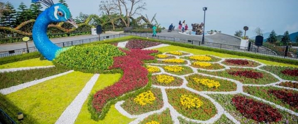 Tour du lịch Đà Nẵng Huế Quảng Bình 5 ngày 4 đêm Tết 2021