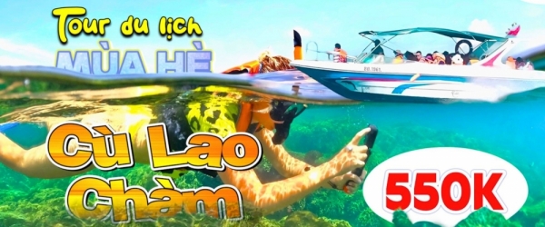 [SIÊU HOT] Tour Cù Lao Chàm 1 ngày mùa hè 2025 giá tốt nhất