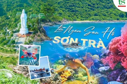 Review Chi Tiết Tour Đi Cano Lặn Biển Ngắm San Hô Tại Sơn Trà, Đà Nẵng