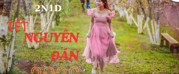 Tour Măng Đen 2 Ngày 1 Đêm Tết Nguyên Đán từ Đà Nẵng 