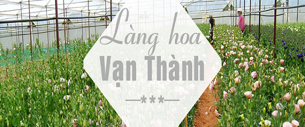 TOUR NGOẠI THÀNH ĐÀ LẠT