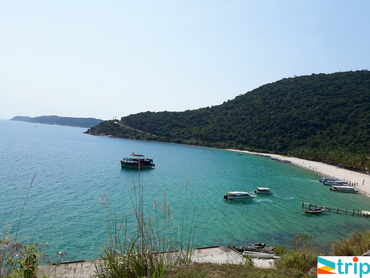 tour cu lao cham 1 ngay khoi hanh tu da nang