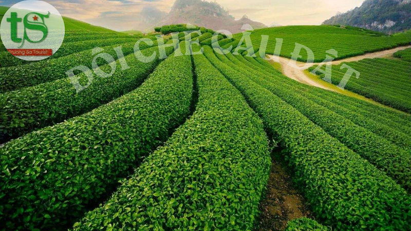 Tour-%C4%90%C3%A0-L%E1%BA%A1t-3-ng%C3%A0y-2-%C4%91%C3%AAm(2)