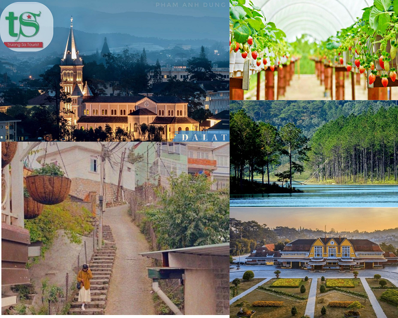 Tour-%C4%90%C3%A0-L%E1%BA%A1t-3-ng%C3%A0y-2-%C4%91%C3%AAm(5)