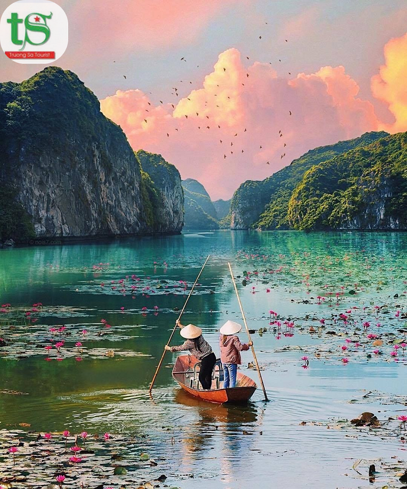 Tour-Ninh-Binh-2-ngay-1-dem-kham-pha-Trang-An-Hang-Mua-Bich-Dong(6)(1)