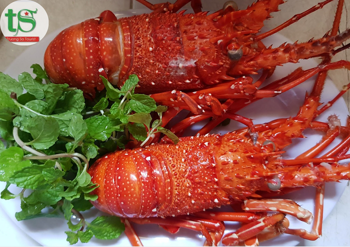 Tour-cu-lao-cham-1-ngay(7)