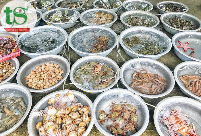 Tour-cu-lao-cham-1-ngay(8)