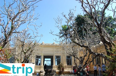 bang-tang-cham-tour-du-lich-da-nang