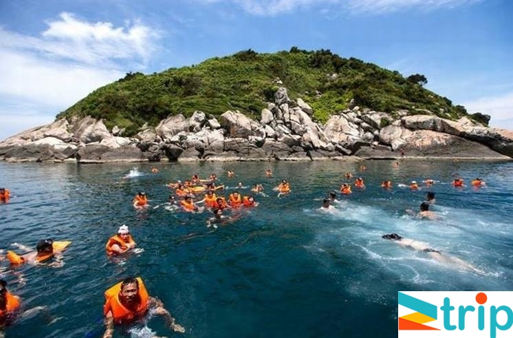 tour-cu-lao-cham-gia-re-truongsatourist