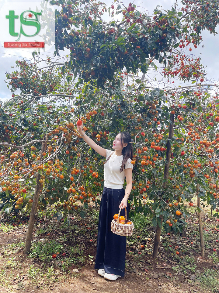 tour-kontum-mang-den-gia-lai-3-ngay-2-dem-tu-da-nang(4)