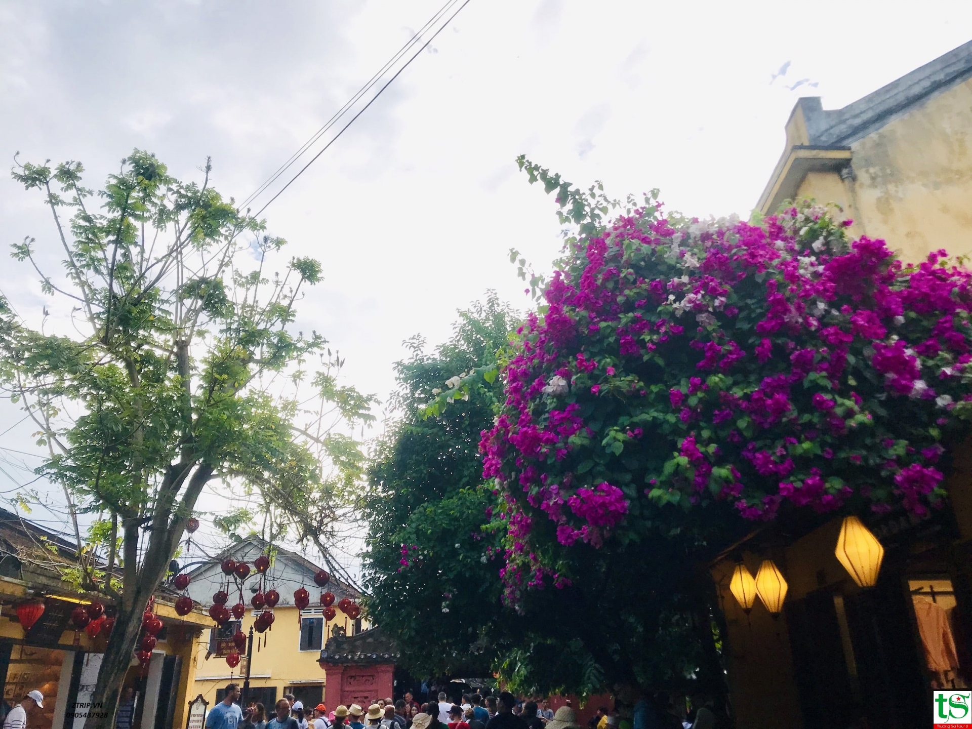 tour-ghep-da-nang-hoi-an-hue-4ngay-3dem
