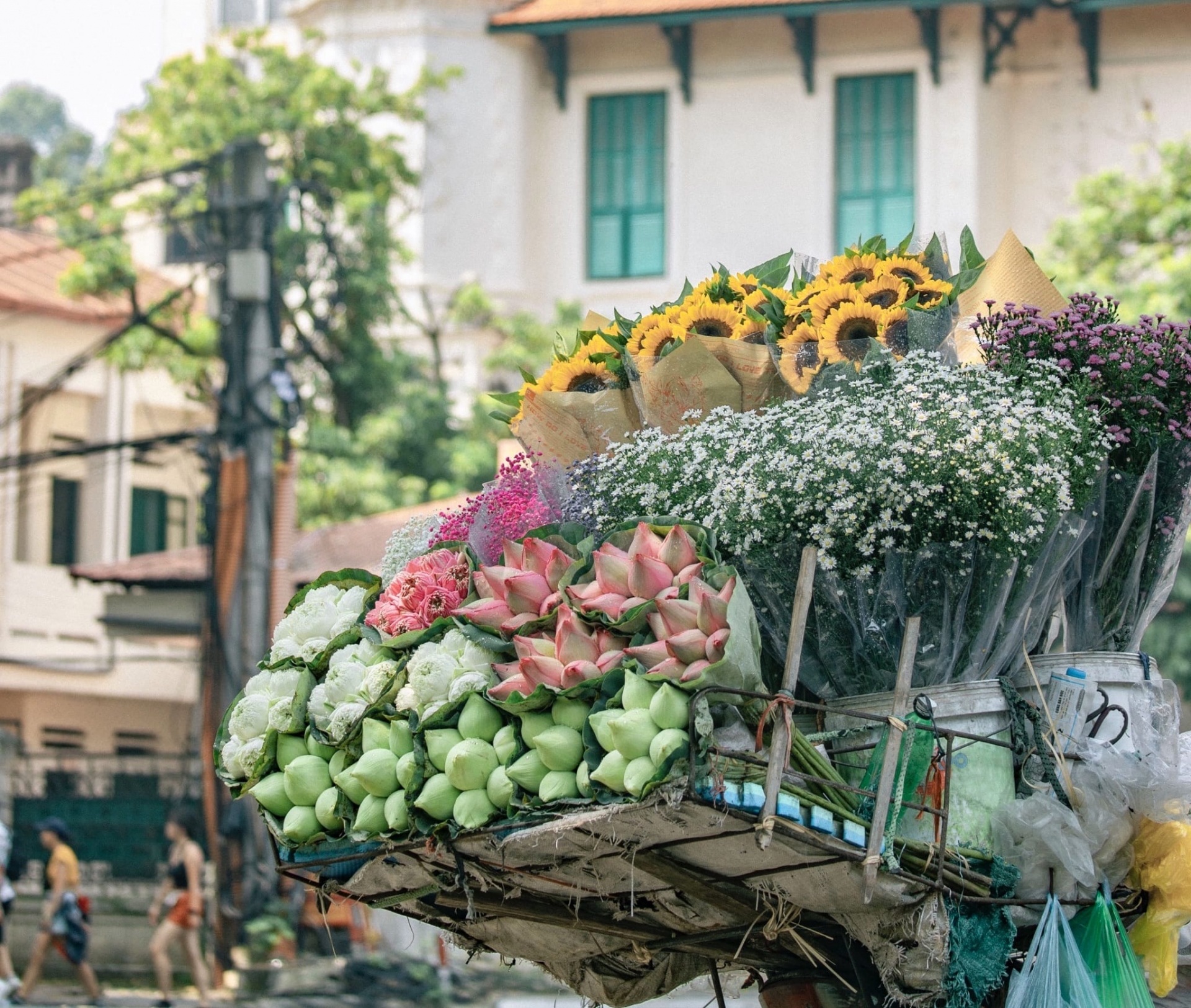 ganh-hoa-rong-ha-noi