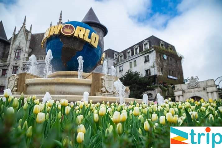 tour ghép đoàn Đà Nẵng 3 ngày 2 đêm
