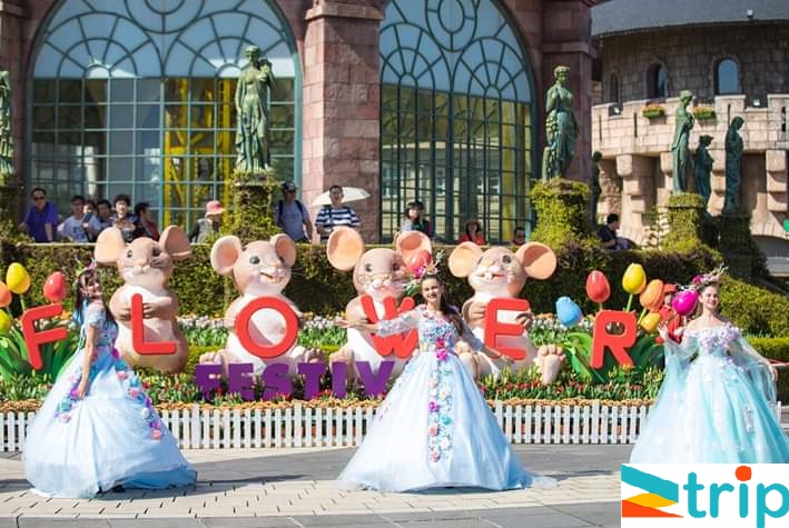 tour tết dương lịch đà nẵng hội an bà nà huế 4n3d