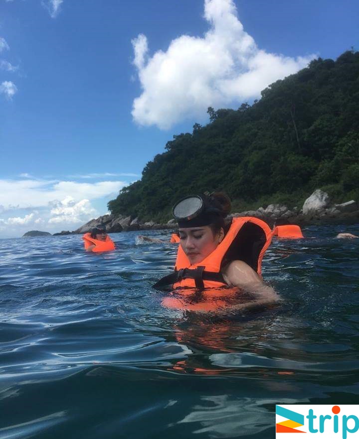 tour cù lao chàm từ đà nẵng 1 ngày