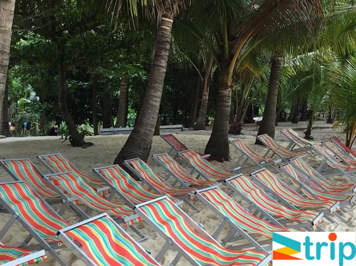 tour cù lao chàm từ đà nẵng 1 ngày