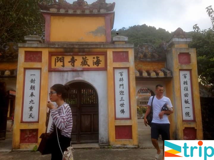 tour cu lao cham 1 ngày từ Đà Nẵng