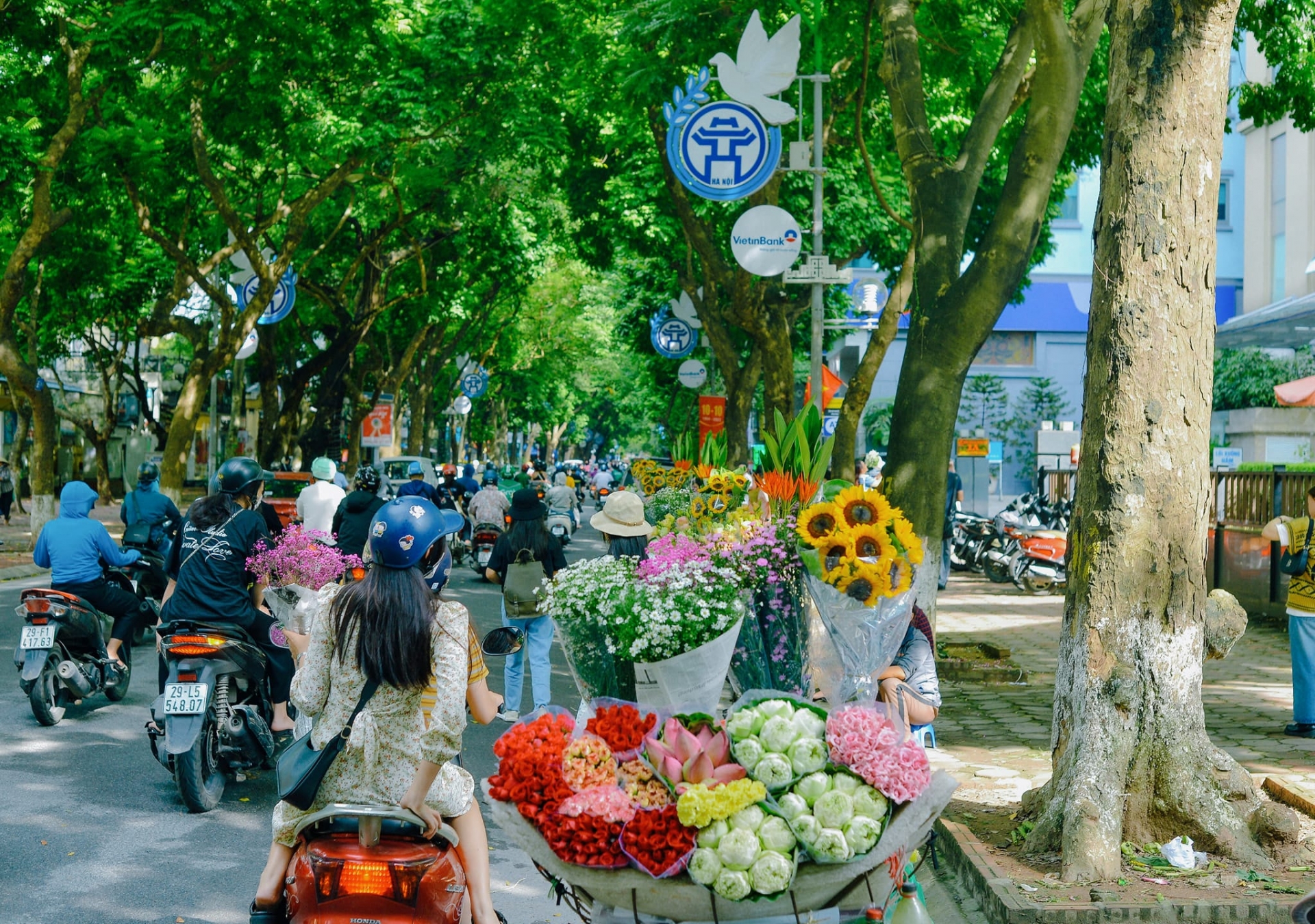 diu-dang-sac-thu-ha-noi